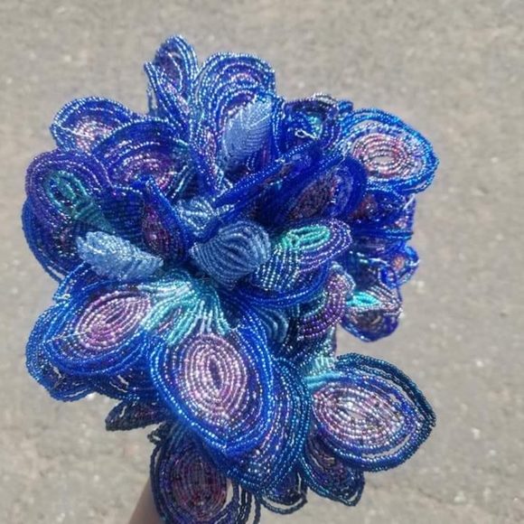 Meet your Posher, Grace - Picture 2 of 4